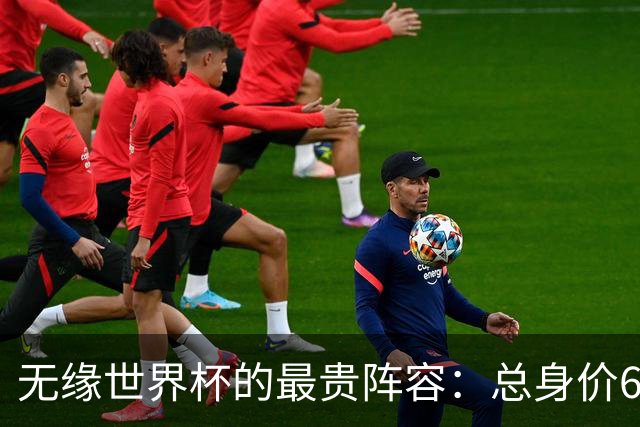 无缘世界杯的最贵阵容：总身价6.7亿 意大利5人