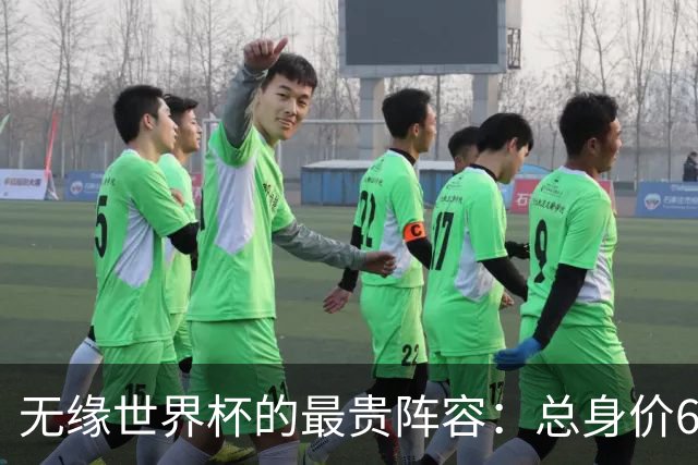 无缘世界杯的最贵阵容：总身价6.7亿 意大利5人